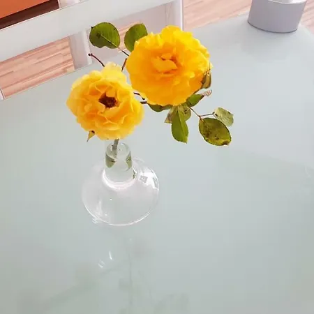 דירה Stabel 8,1 Km Von Europa Park